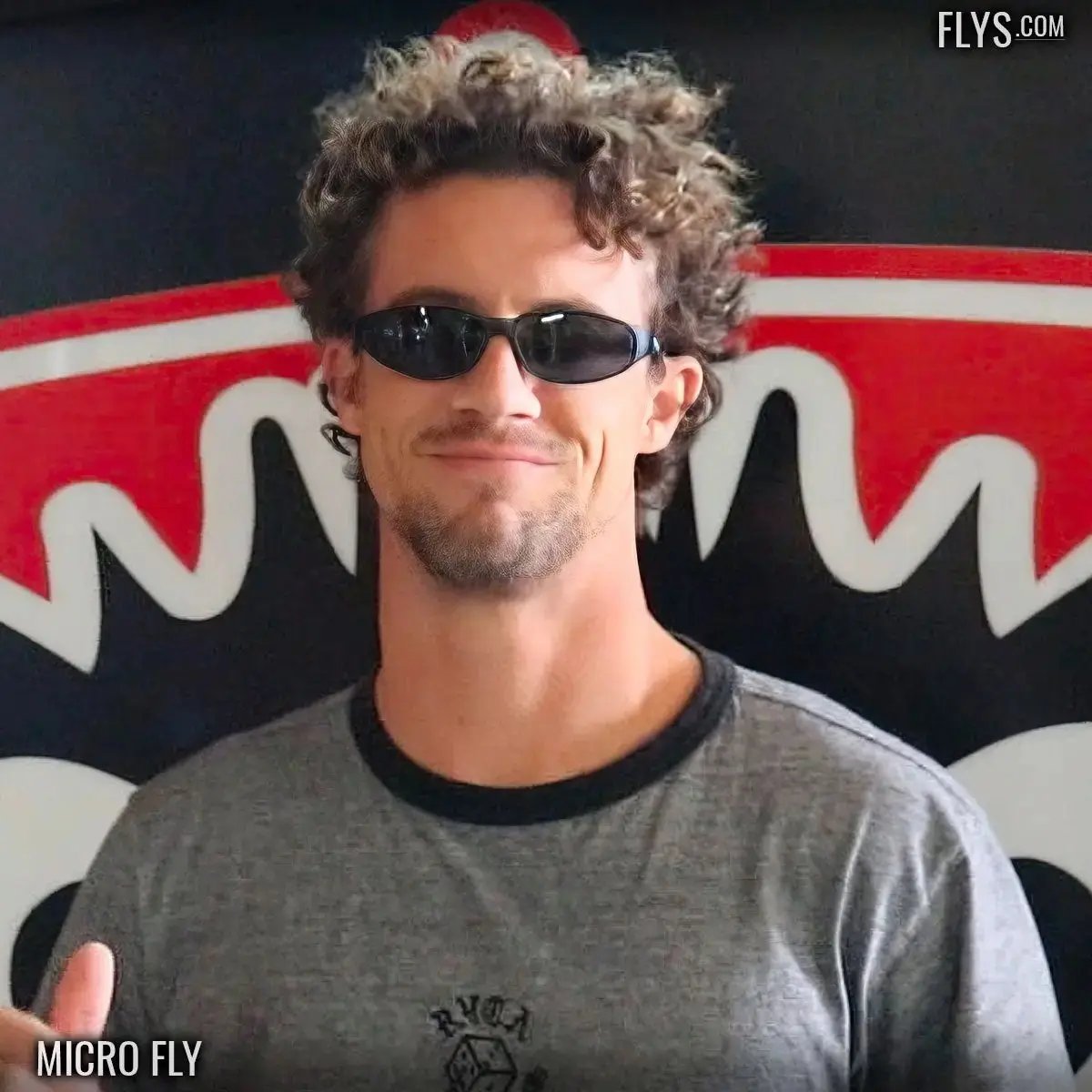 Micro Fly Polarized