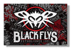 Black Flys Canvas Art Prints