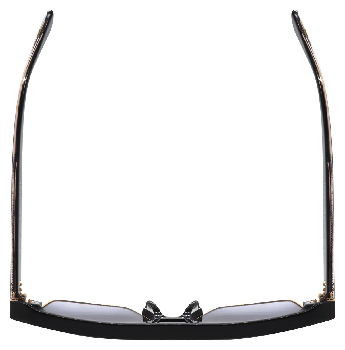 Fly Camino Limited - BlackFlys