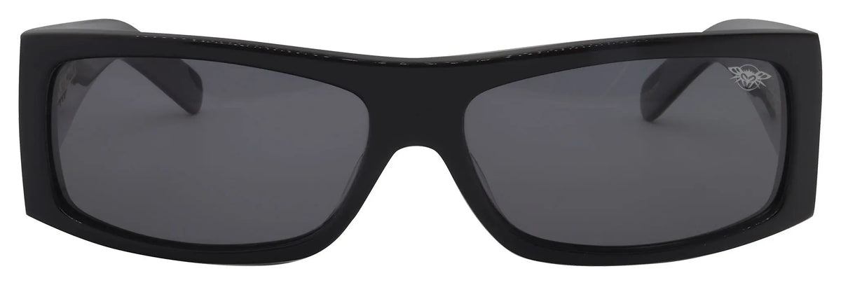 Fly Detector 2 Polarized - BlackFlys