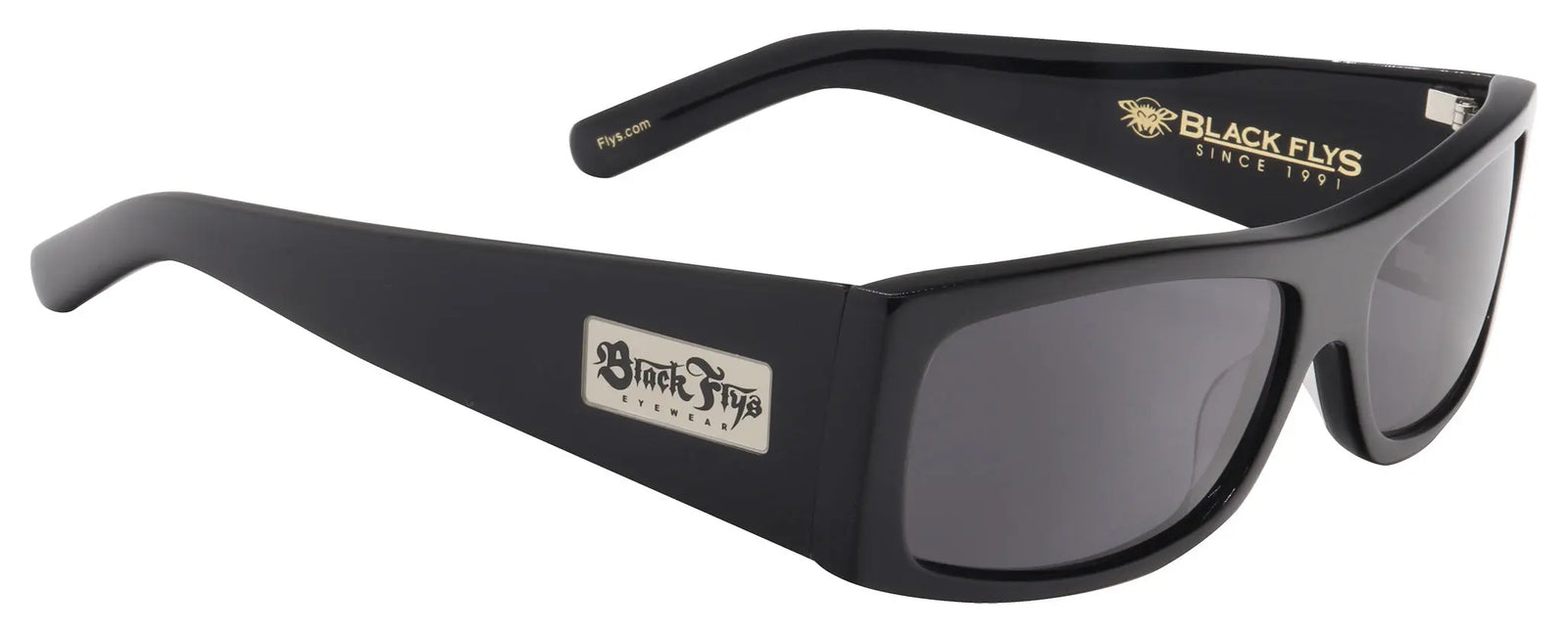 Fly Detector 2 Polarized - BlackFlys