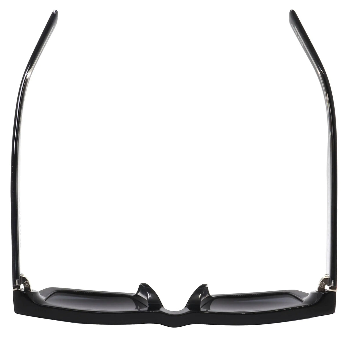 Fly Stingray Black Flys