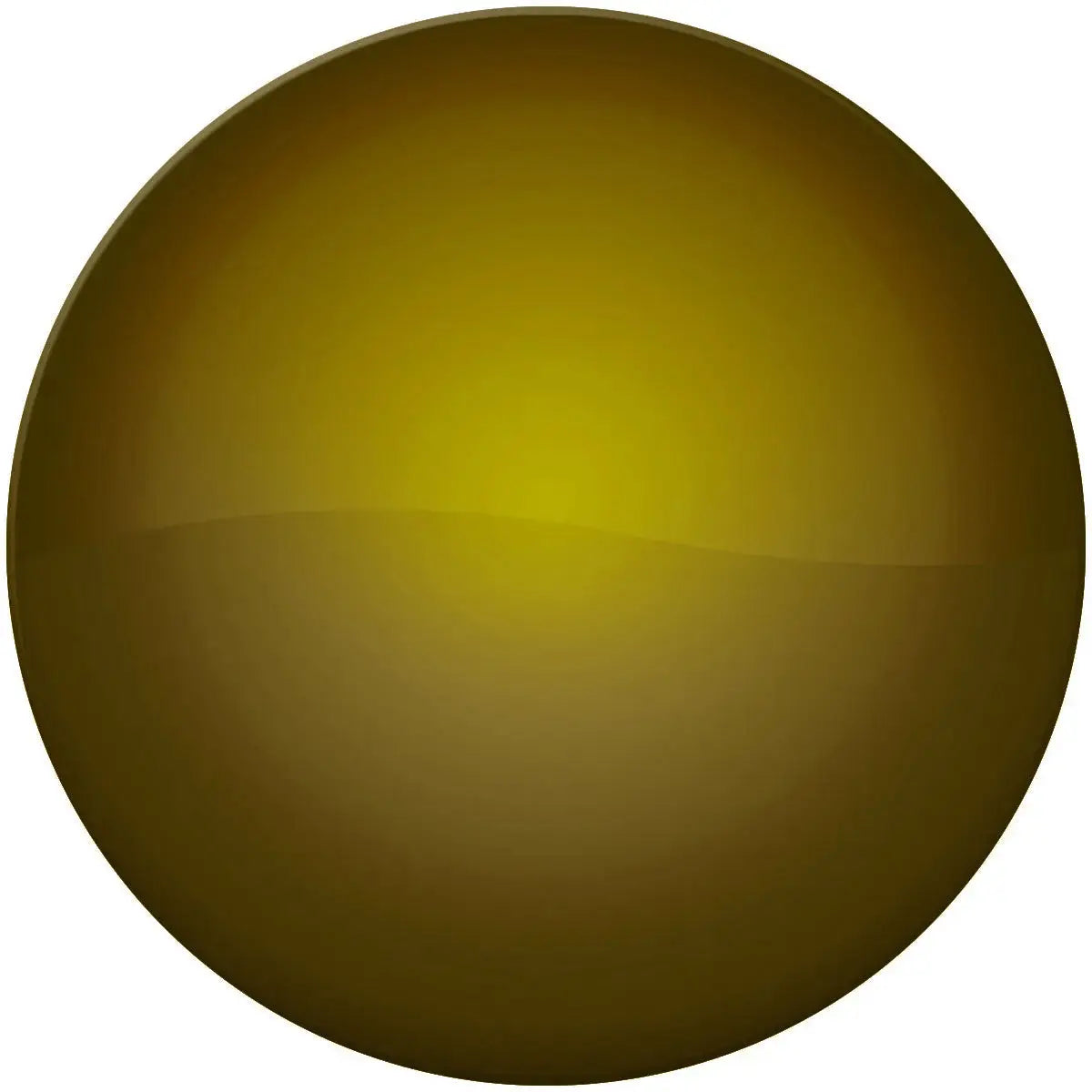 Black Flys Replacement Lens