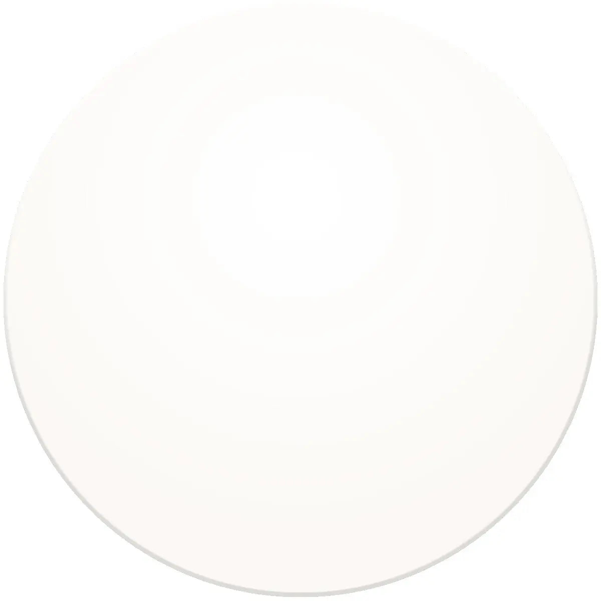 Black Flys Replacement Lens - BlackFlys