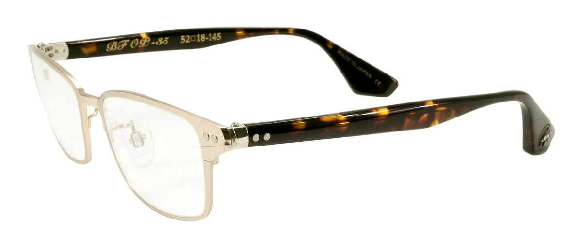 BF OP 35 - BlackFlys