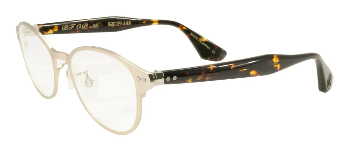 BF OP 36 - BlackFlys