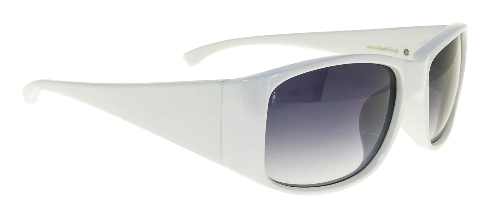 Fly Coast *Limited Ed.