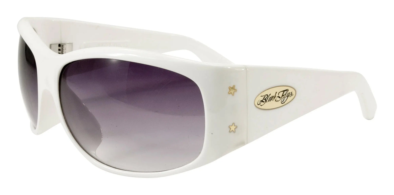 Fly No. 9 - BlackFlys