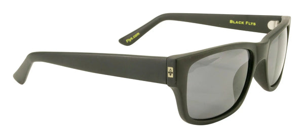 Mc Fly Polarized