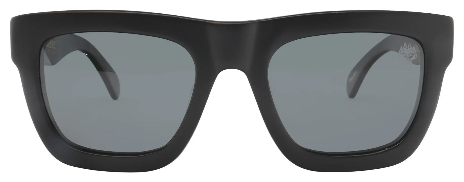 Noodles Fly Polarized - BlackFlys