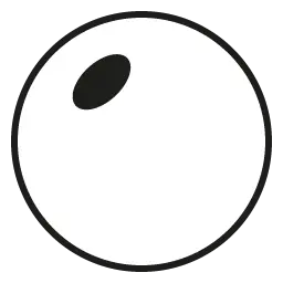 Brown Polarized - BlackFlys